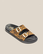 Sandalia plana Morena 700 leopardo_33929.jpg