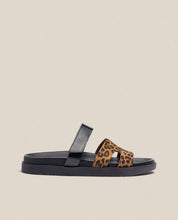 Sandalia plana Morena 125 leopardo_33860.jpg