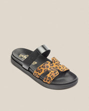 Sandalia plana Morena 125 leopardo_33864.jpg