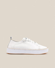 Zapato plano Sintra 004 blanco_34104.jpg